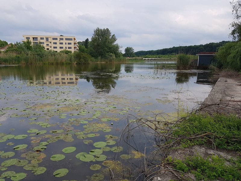 Snagov, lac,