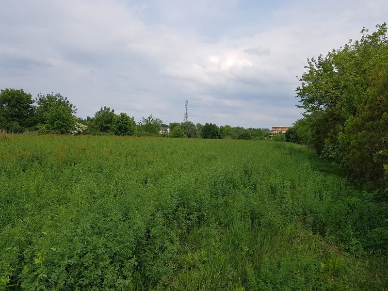 Snagov, lac,