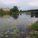 Snagov, lac